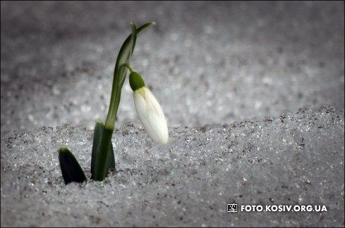 Натисніть, щоб побачити повний розмір