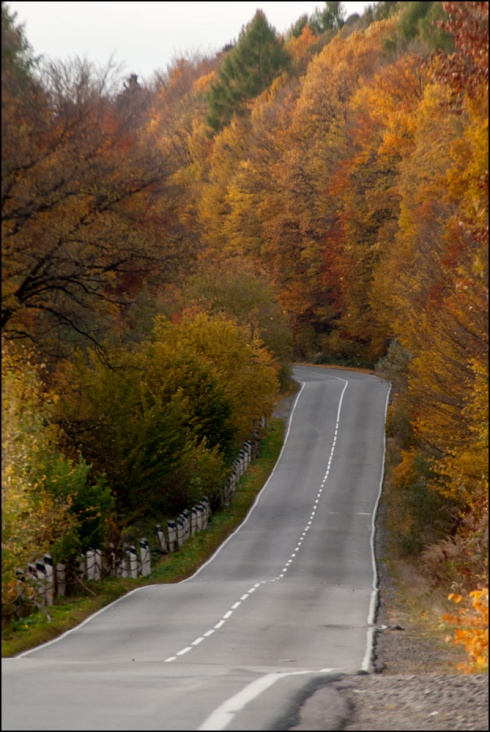 Натисніть, щоб побачити повний розмір