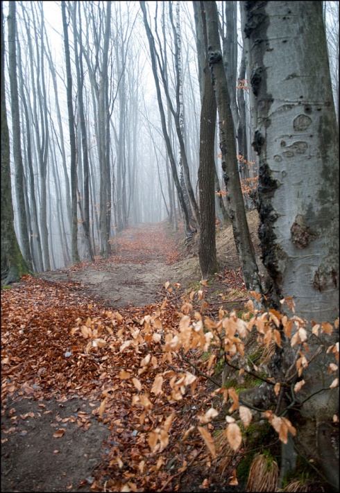 Натисніть, щоб побачити повний розмір