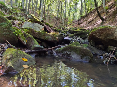 Натисніть, щоб побачити повний розмір