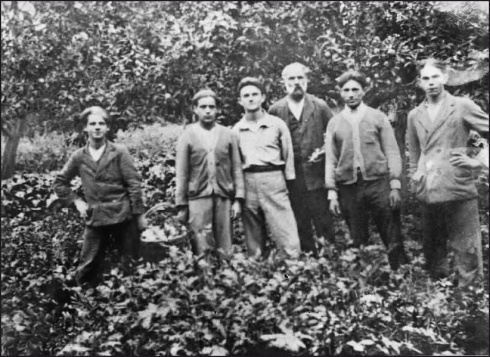 Натисніть, щоб побачити повний розмір