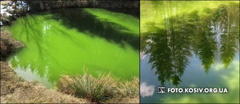 Натисніть, щоб побачити повний розмір