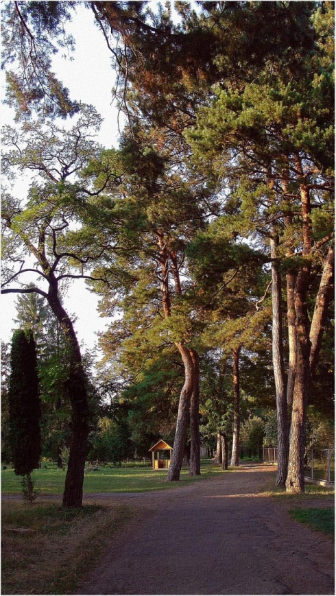 Натисніть, щоб побачити повний розмір