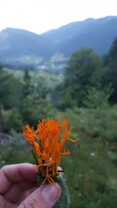 Натисніть, щоб побачити повний розмір