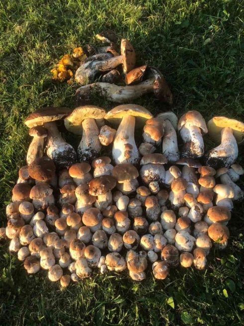 Натисніть, щоб побачити повний розмір