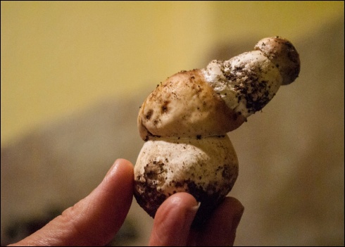 Натисніть, щоб побачити повний розмір