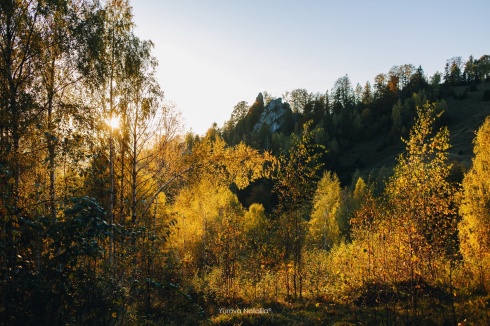 Натисніть, щоб побачити повний розмір