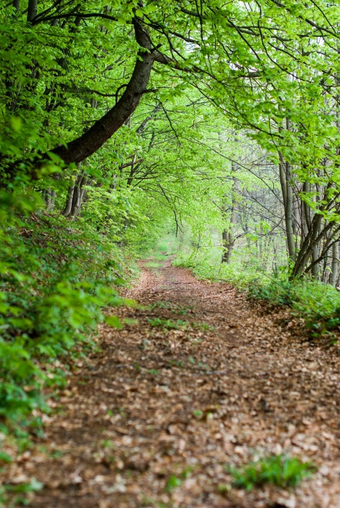 Натисніть, щоб побачити повний розмір
