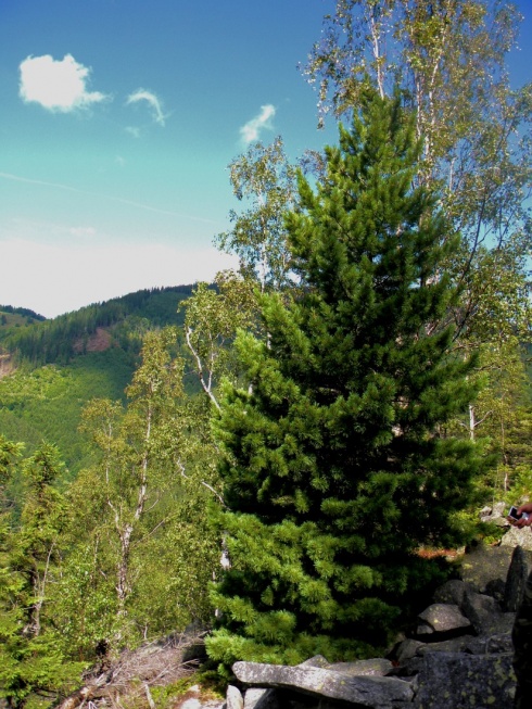 Натисніть, щоб побачити повний розмір