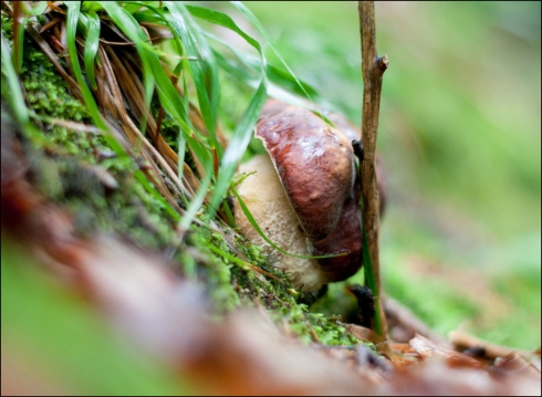 Натисніть, щоб побачити повний розмір