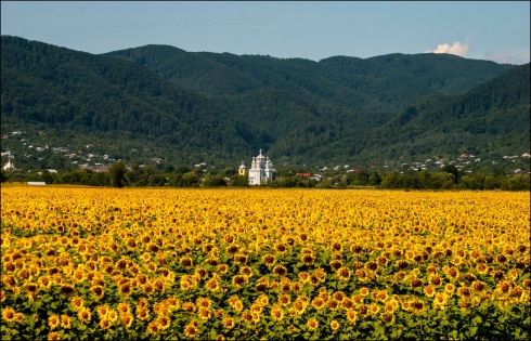 Натисніть, щоб побачити повний розмір