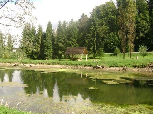 Натисніть, щоб побачити повний розмір
