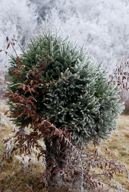 Натисніть, щоб побачити повний розмір