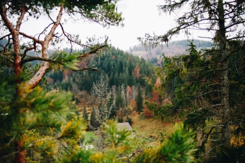 Натисніть, щоб побачити повний розмір