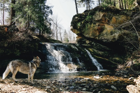 Натисніть, щоб побачити повний розмір