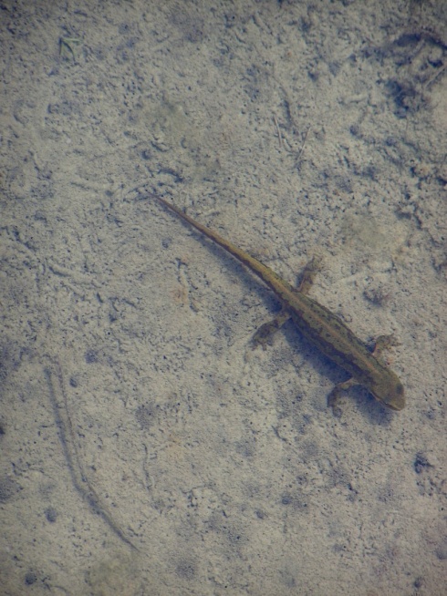 Натисніть, щоб побачити повний розмір