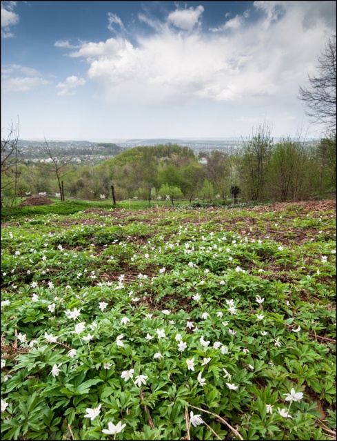 Натисніть, щоб побачити повний розмір