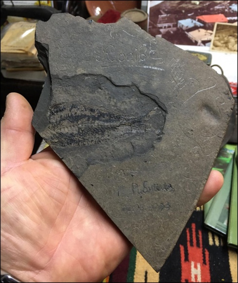 Натисніть, щоб побачити повний розмір