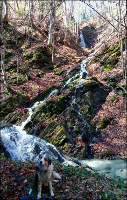 Натисніть, щоб побачити повний розмір
