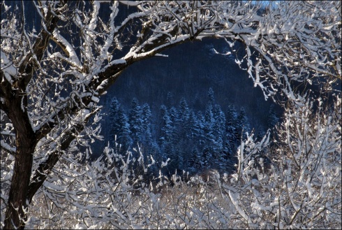 Натисніть, щоб побачити повний розмір