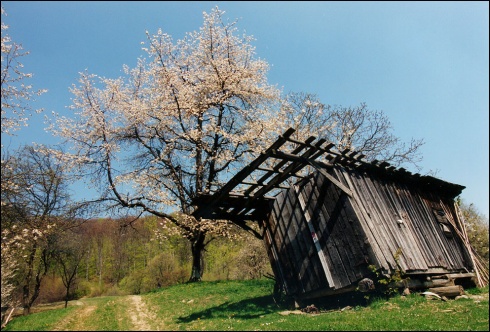 Натисніть, щоб побачити повний розмір