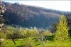 ostryj-spring-kosiv.jpg