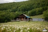 Файл=rosoxata~0.jpg
Розмір файлу=1113КБ
Розміри =2000x1333
Дата =Лип 19, 2025 rosoxata~0.jpg