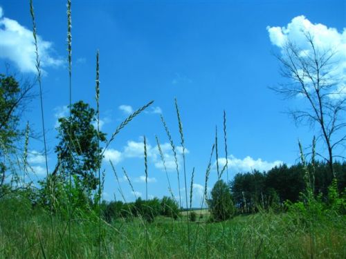 Натисніть, щоб побачити повний розмір