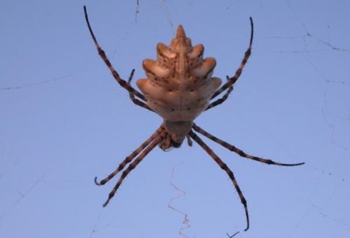 Натисніть, щоб побачити повний розмір