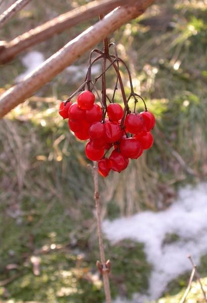Натисніть, щоб побачити повний розмір