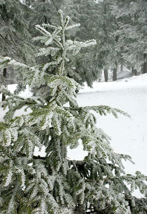 Натисніть, щоб побачити повний розмір