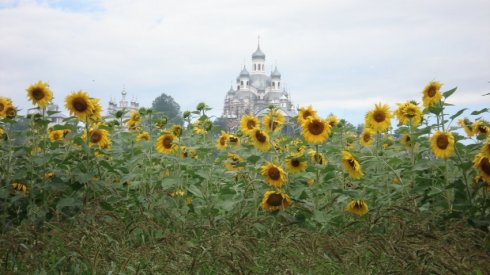 Натисніть, щоб побачити повний розмір