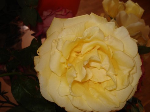 Натисніть, щоб побачити повний розмір