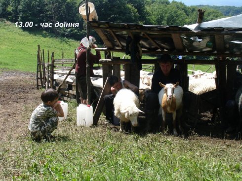 Натисніть, щоб побачити повний розмір