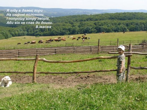 Натисніть, щоб побачити повний розмір