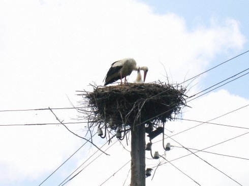 Натисніть, щоб побачити повний розмір