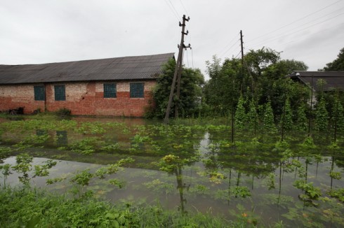 Натисніть, щоб побачити повний розмір