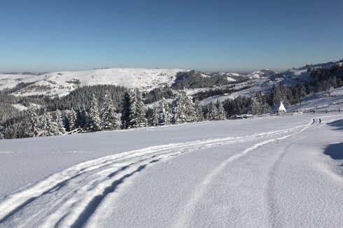 Натисніть, щоб побачити повний розмір