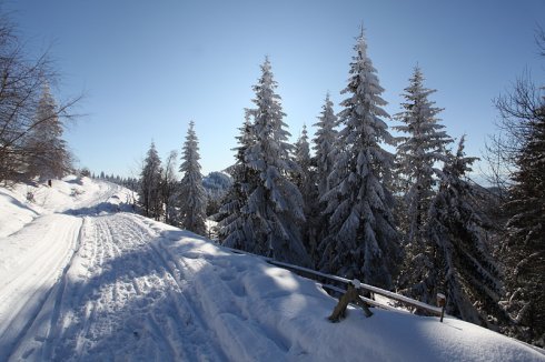 Натисніть, щоб побачити повний розмір