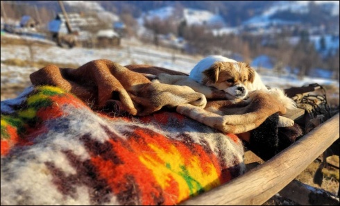 Натисніть, щоб побачити повний розмір