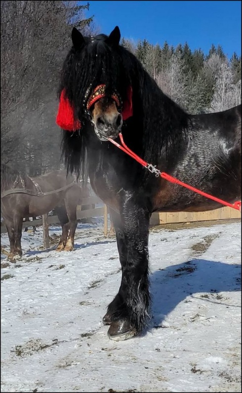 Натисніть, щоб побачити повний розмір