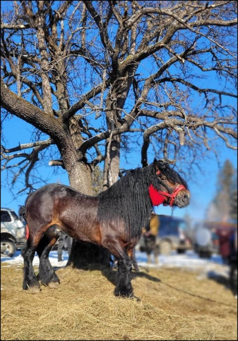 Натисніть, щоб побачити повний розмір