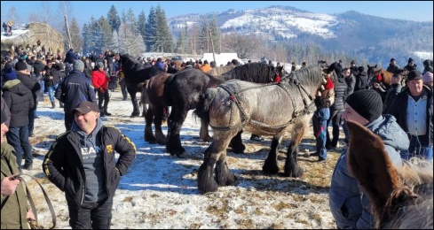 Натисніть, щоб побачити повний розмір