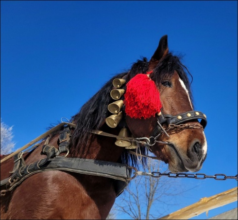 Натисніть, щоб побачити повний розмір