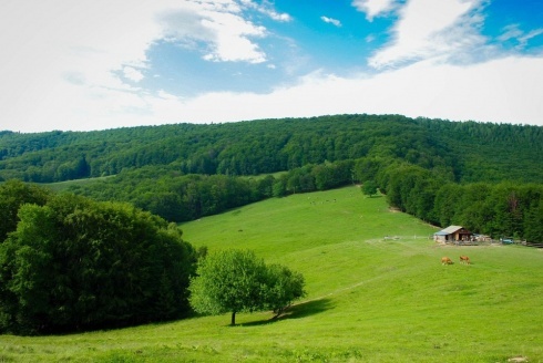 Натисніть, щоб побачити повний розмір