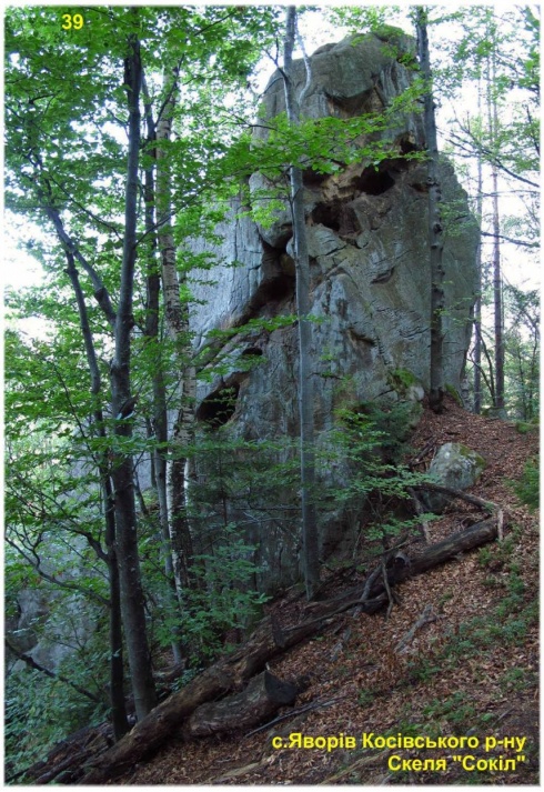 Натисніть, щоб побачити повний розмір
